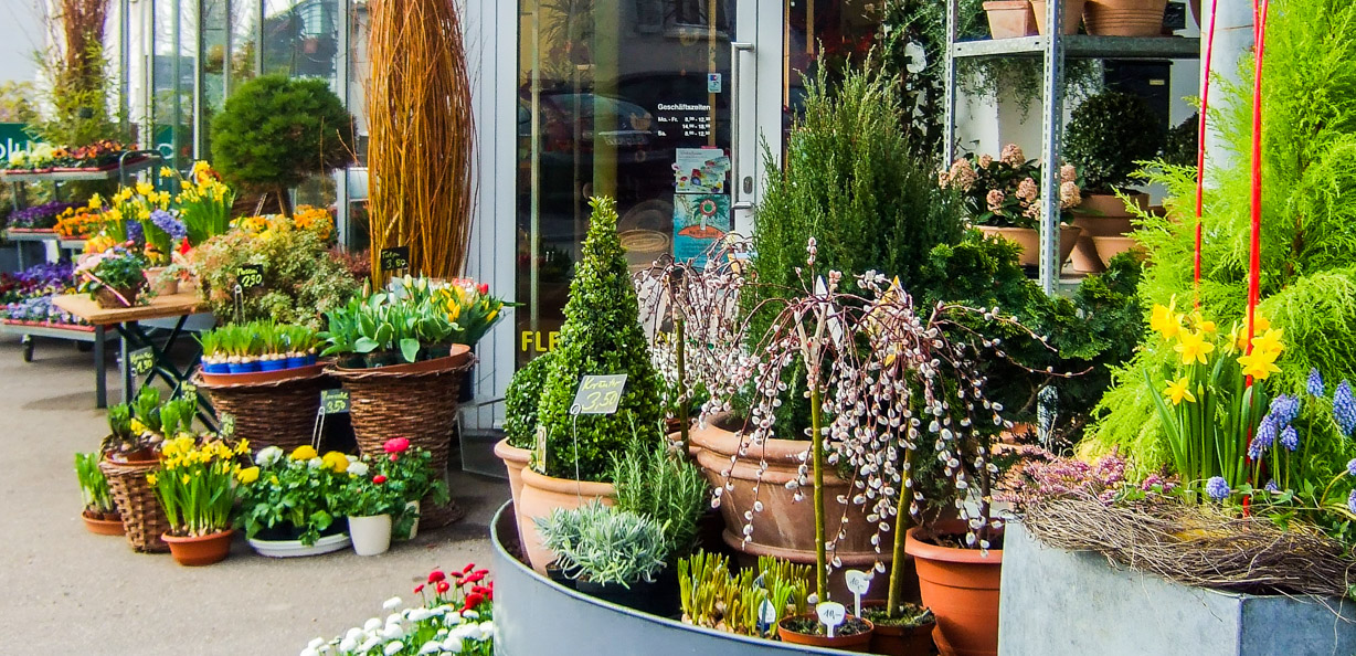 Stimmungsvoll dekorierter Blumenladen als Dekorations anregung für ihr Weihnachtsfenster, Blumen und Geschenke, Blumen Schneider in Esslingen