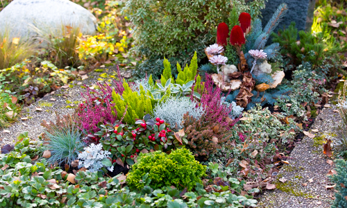 Winterliche Grabbepflanzung, Grabpflege in Esslingen