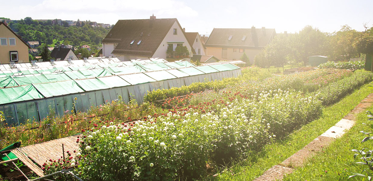 Blumen Schneider Esslingen | Blumenfachgeschäft - Friedhofgärtnerei ...